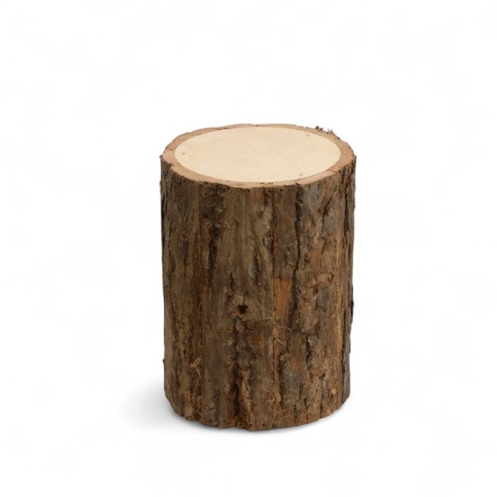 TRONCO LEGNO 15X20CM